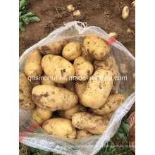 2015 New Potato